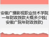 安徽广播影视职业技术学院一年财政拨款大概多少钱(安徽广院年财政拨款)