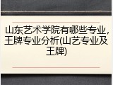 山东艺术学院有哪些专业，王牌专业分析(山艺专业及王牌)