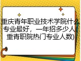 重庆青年职业技术学院什么专业最好，一年招多少人(重青职院热门专业人数)