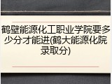 鹤壁能源化工职业学院要多少分才能进(鹤大能源化院录取分)