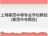 上海奉贤中等专业学校数控(奉贤中专数控)