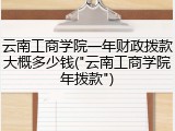 云南工商学院一年财政拨款大概多少钱("云南工商学院年拨款")