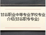甘谷职业中等专业学校专业介绍(甘谷职专专业)