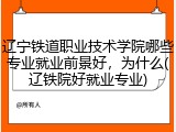辽宁铁道职业技术学院哪些专业就业前景好，为什么(辽铁院好就业专业)