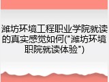 潍坊环境工程职业学院就读的真实感觉如何("潍坊环境职院就读体验")