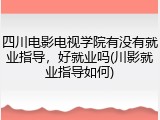 四川电影电视学院有没有就业指导，好就业吗(川影就业指导如何)