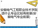 安徽电气工程职业技术学院读什么专业比较有前景(安徽电气专业前景)