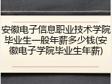 安徽电子信息职业技术学院毕业生一般年薪多少钱(安徽电子学院毕业生年薪)