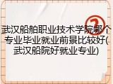 武汉船舶职业技术学院哪个专业毕业就业前景比较好(武汉船院好就业专业)