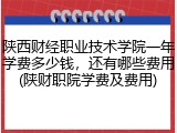 陕西财经职业技术学院一年学费多少钱，还有哪些费用(陕财职院学费及费用)