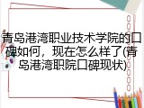 青岛港湾职业技术学院的口碑如何，现在怎么样了(青岛港湾职院口碑现状)