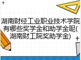 湖南财经工业职业技术学院有哪些奖学金和助学金呢(湖南财工院奖助学金)