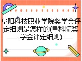阜阳科技职业学院奖学金评定细则是怎样的(阜科院奖学金评定细则)