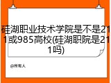 硅湖职业技术学院是不是211或985高校(硅湖职院是211吗)