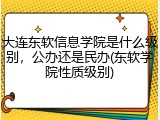 大连东软信息学院是什么级别，公办还是民办(东软学院性质级别)