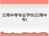 云南中等专业学校(云南中专)