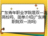 广东青年职业学院是双一流高校吗，简单介绍(广东青职院双一流吗)