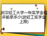 武汉轻工大学一年奖学金最多能拿多少(武轻工奖学金上限)