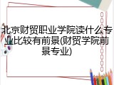 北京财贸职业学院读什么专业比较有前景(财贸学院前景专业)