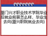 厦门兴才职业技术学院毕业后就业前景怎么样，毕业生去向(厦兴职院就业去向)