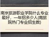 南京旅游职业学院什么专业最好，一年招多少人(南旅院热门专业招生数)