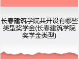 长春建筑学院共开设有哪些类型奖学金(长春建筑学院奖学金类型)