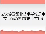 武汉榕霖职业技术学校是中专吗(武汉榕霖是中专吗)