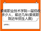 娄底职业技术学院一届招收多少人，最近几年(娄底职院近年招生人数)