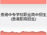贵港中专学校职业高中招生(贵港职高招生)