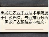 黑龙江农业职业技术学院属于什么档次，专业排行分析(黑龙江农职院专业档次)