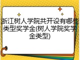 浙江树人学院共开设有哪些类型奖学金(树人学院奖学金类型)