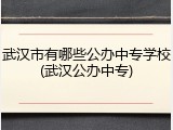 武汉市有哪些公办中专学校(武汉公办中专)