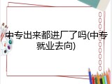 中专出来都进厂了吗(中专就业去向)
