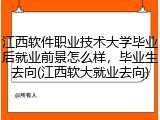 江西软件职业技术大学毕业后就业前景怎么样，毕业生去向(江西软大就业去向)