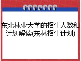 东北林业大学的招生人数和计划解读(东林招生计划)