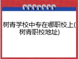 树青学校中专在哪职校上(树青职校地址)