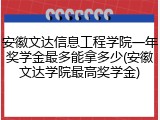 安徽文达信息工程学院一年奖学金最多能拿多少(安徽文达学院最高奖学金)