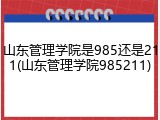 山东管理学院是985还是211(山东管理学院985211)