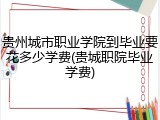 贵州城市职业学院到毕业要花多少学费(贵城职院毕业学费)