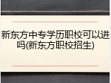新东方中专学历职校可以进吗(新东方职校招生)
