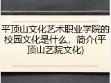 平顶山文化艺术职业学院的校园文化是什么，简介(平顶山艺院文化)