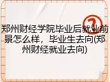 郑州财经学院毕业后就业前景怎么样，毕业生去向(郑州财经就业去向)