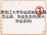 黑龙江大学毕业后就业前景怎么样，毕业生去向(黑大毕业去向)
