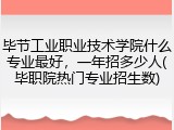毕节工业职业技术学院什么专业最好，一年招多少人(毕职院热门专业招生数)
