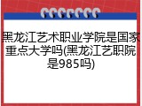黑龙江艺术职业学院是国家重点大学吗(黑龙江艺职院是985吗)