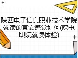 陕西电子信息职业技术学院就读的真实感觉如何(陕电职院就读体验)