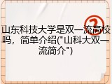 山东科技大学是双一流高校吗，简单介绍("山科大双一流简介")