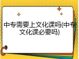 中专需要上文化课吗(中专文化课必要吗)