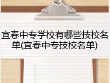 宜春中专学校有哪些技校名单(宜春中专技校名单)