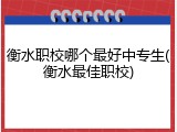 衡水职校哪个最好中专生(衡水最佳职校)